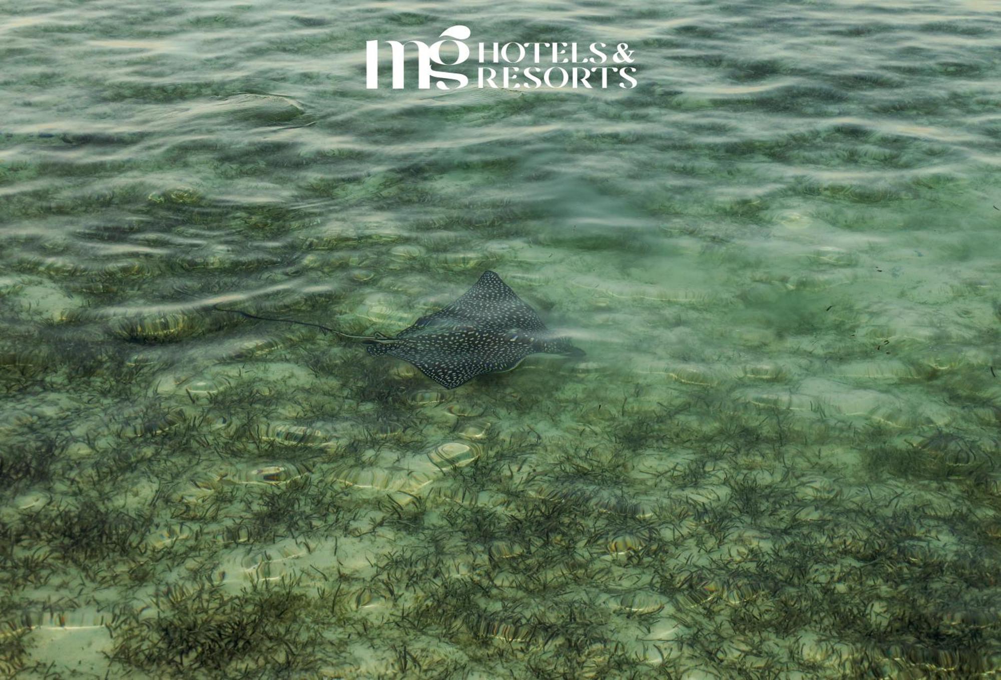 Mg Alexander The Great Hotel Marsa Alam Екстериор снимка